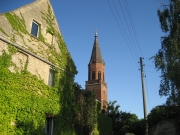 03-91-WO